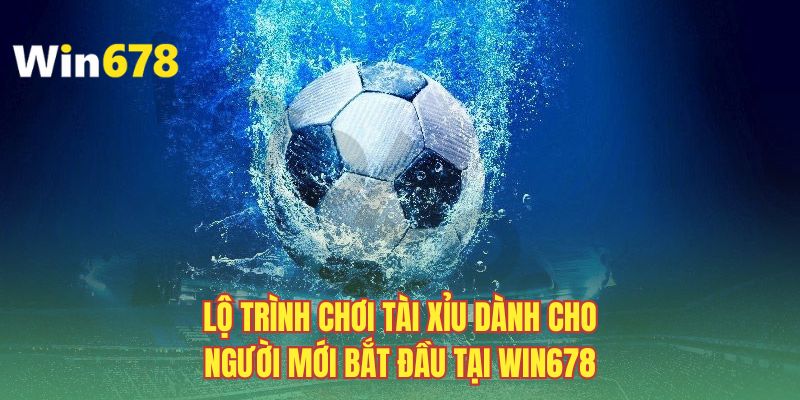 Lộ trình chơi tài xỉu dành cho người mới bắt đầu tại Win678