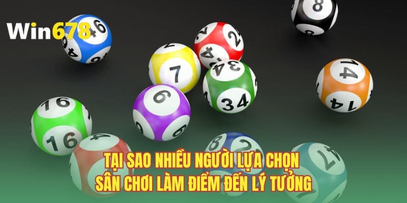 Tại sao nhiều người lựa chọn sân chơi làm điểm đến lý tưởng