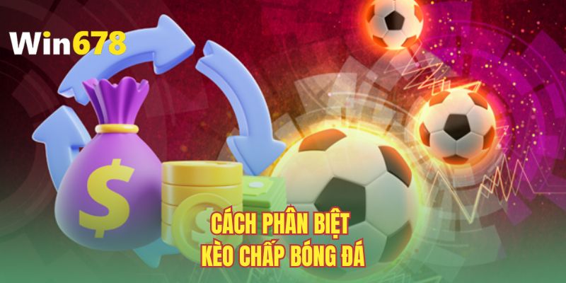 cach-phan-biet-keo-chap-bong-da-chinh-xac-cho-hoi-vien